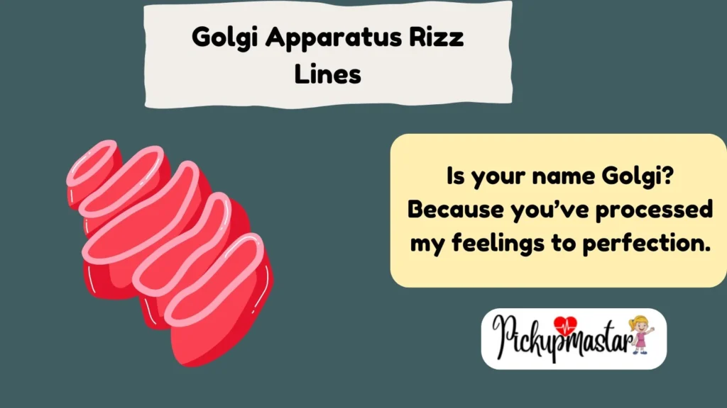 Golgi Apparatus Rizz Lines