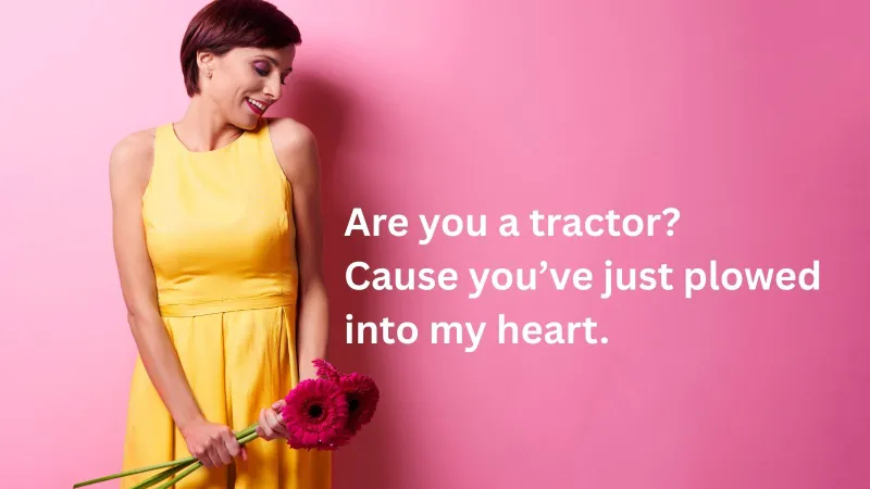 Bold Barnyard Flirts