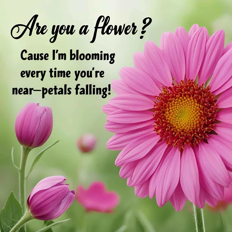 Ultimate Rizz Pick Up Lines